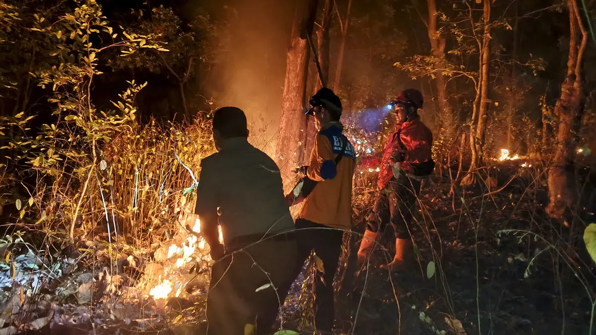 CARA MANUAL: Petugas memadamkan api dengan gebyok di lahan kering kawasan Gunung Bentar, Probolinggo, Jumat malam. (Istimewa) 