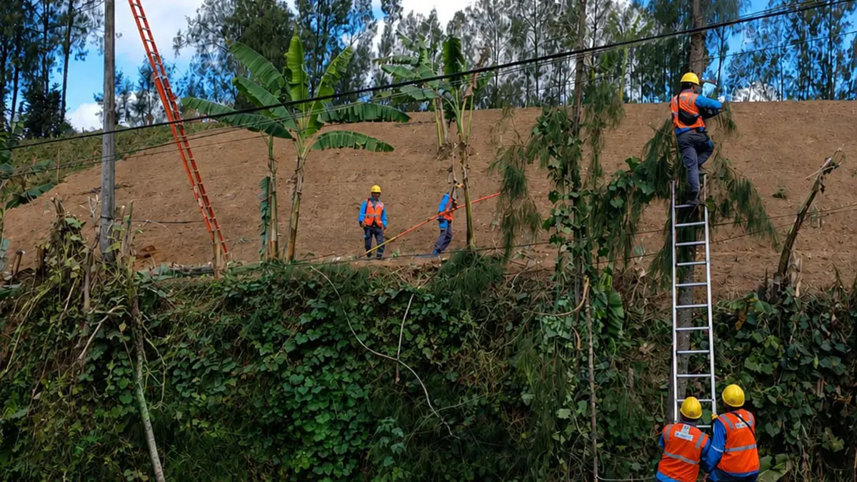 PERBAIKAN: Sejumlah petugas PLN ULP Probolinggo yang tengah memperbaiki tiang listrik roboh di Desa Pandansari, Kecamatan Sumber, Kabupaten Probolinggo, Sabtu (25/7) siang