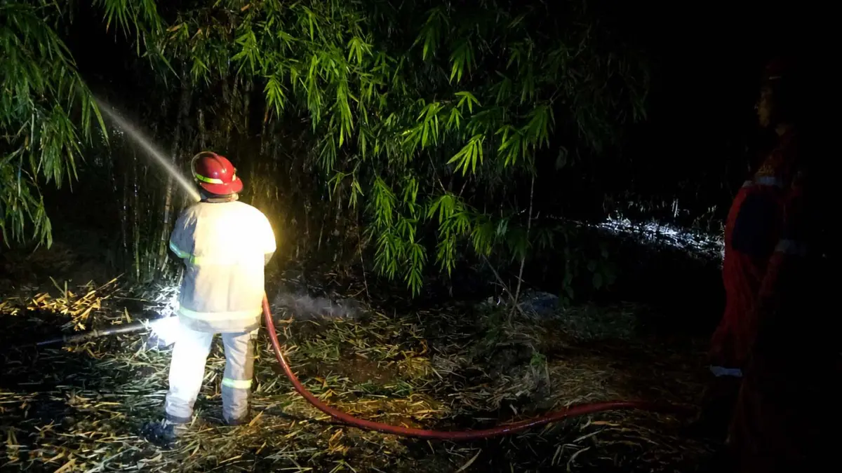 SEMPROT: Tim Damkar Kabupaten Probolinggo berusaha memadamkan api yang melalap rumpun bambu di Desa Semendi, Kecamatan Tongas, Jumat (25/7) malam.&nbsp;(DAMKAR KABUPATEN PROBOLINGGO FOR JAWA POS RADAR BROMO)