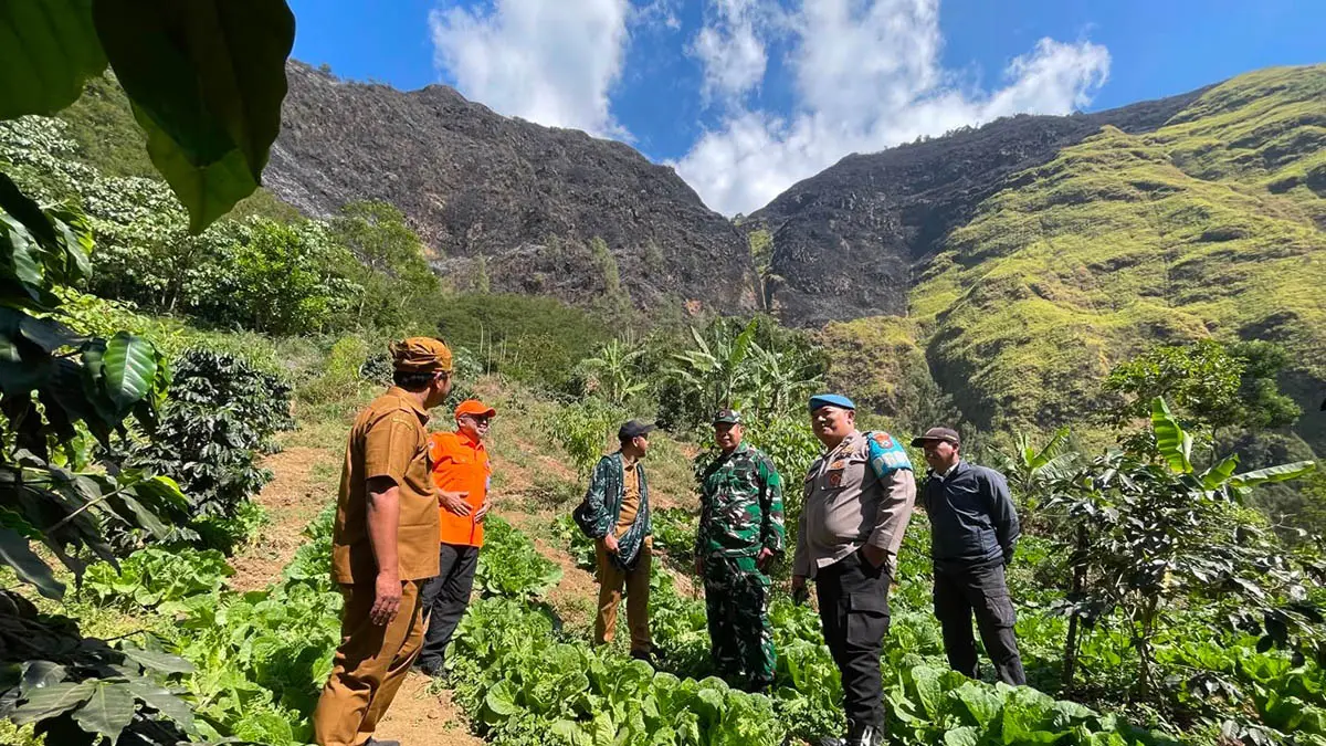 PANTAU: Kepala Pelaksana (Kalaksa) BPBD Kabupaten Probolinggo Oemar Sjarief bersama tim gabungan saat melakukan pemantauan dan asesmen kebakaran lahan Perhutani di kawasan Gunung Ringgit, Desa Sapikerep, Sukapura, Senin (27/7). (Foto: BPBD for Jawa Pos Radar Bromo)