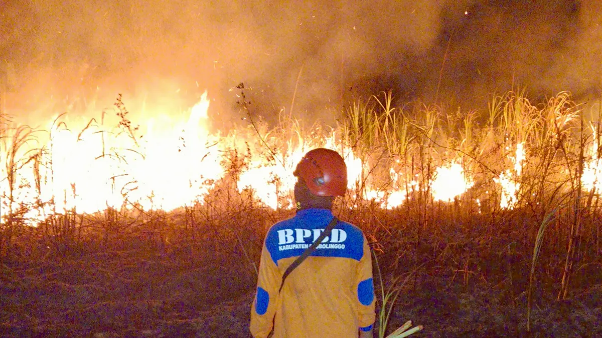 MASIH MEMBARA: Personel damkar di lokasi lahan tebu yang terbakar. Api berhasil dipadamkan setelah empat jam pemadaman. (Foto : BPBD Kabupaten Probolinggo For Jawa Pos Radar Bromo)