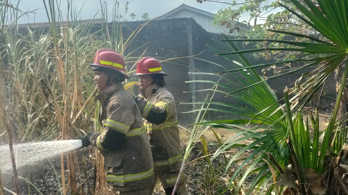 SEMPROT: Tim Damkar Kabupaten Probolinggo memadamkan api di lahan tebu dekat pemukiman Desa Banjarasawah, Kecamatan Tegalsiwalan, Kamis (30/7) siang. (DAMKAR KABUPATEN PROBOLINGGO FOR JAWA POS RADAR BROMO)