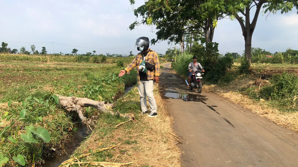 TKP: Lokasi korban ditemukan pingsan usai jadi korban begal di Liprak Wetan. (Inneke Agustin/ Radar Bromo)
