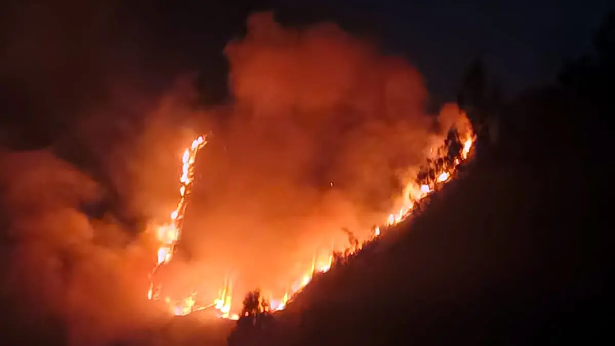AMUK SI JAGO MERAH: Kawasan hutan Blok Bantengan yang terbakar, Senin (3/8) malam. (Istimewa)