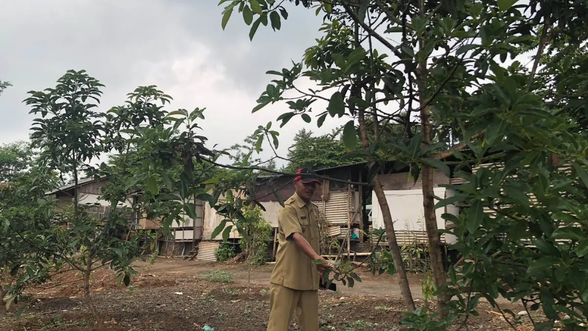 WISATA: Kepala Desa Negororejo Ngasto menunjukkan lokasi kebun durian dan alpukat yang diproyeksi menjadi lokasi agrowisata di Desa Negororejo, Kecamatan Lumbang. (INNEKE AGUSTIN/JAWA POS RADAR BROMO)