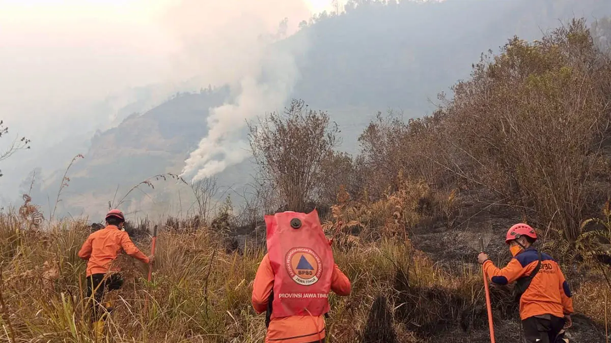 MELUAS: Petugas BPBD Kabupaten Probolinggo berupaya memadamkan kebakaran hutan yang telah meluas sampai perbukitan wilayah Desa Sariwani, Kecamatan Sukapura. (Foto : BPBD Kabupaten Probolinggo for Jawa Pos Radar Bromo)