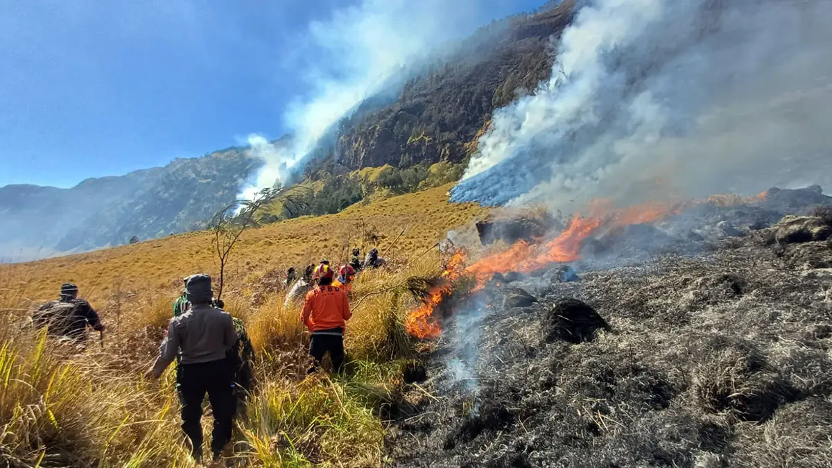 MELUAS: Petugas BPBD Kabupaten Probolinggo beserta personel gabungan saat memadamkan api yang membakar area savana Gunung Bromo di Desa Sariwani, Kecamatan Sukapura, Kabupaten Probolinggo, Rabu (5/8). (BPBD Kabupaten Probolinggo)