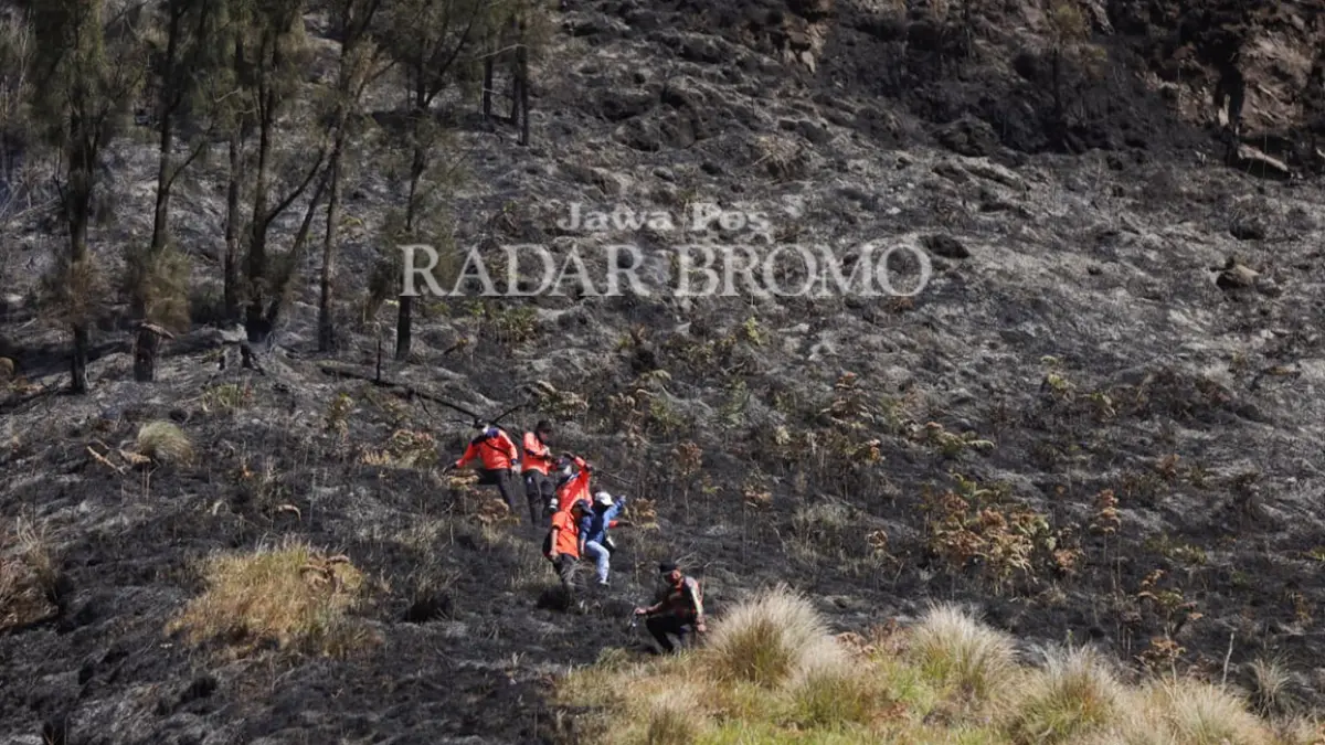 HANGUS: Sejumlah petugas BPBD melintas di vegetasi kawasan sabana Bromo yang hangus terbakar, Jumat (7/8). (Mokhamad Zubaidillah/ Radar Bromo)  