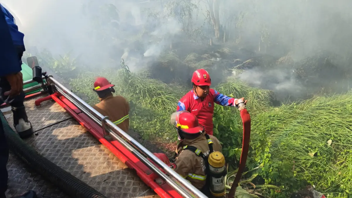 Petugas damkar saat berupaya memadamkan api yang berkobar di lahan kosong Mangunharjo, Mayangan. 