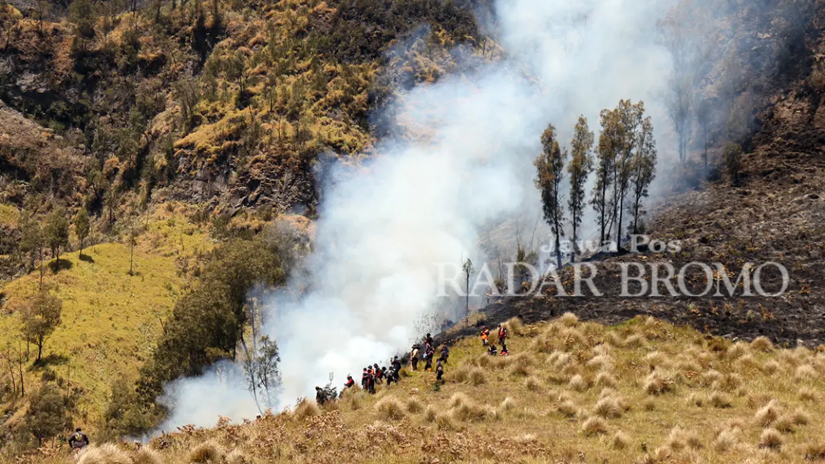 ASAP MENGEPUL: Petugas BPBD saat berupaya memadamkan api dari kawasan Jantur, Sariwani, Kecamatan Sukapura, Kabupaten Probolinggo, Jumat petang (7/8). (Mokhamad Zubaidillah/ Radar Bromo)