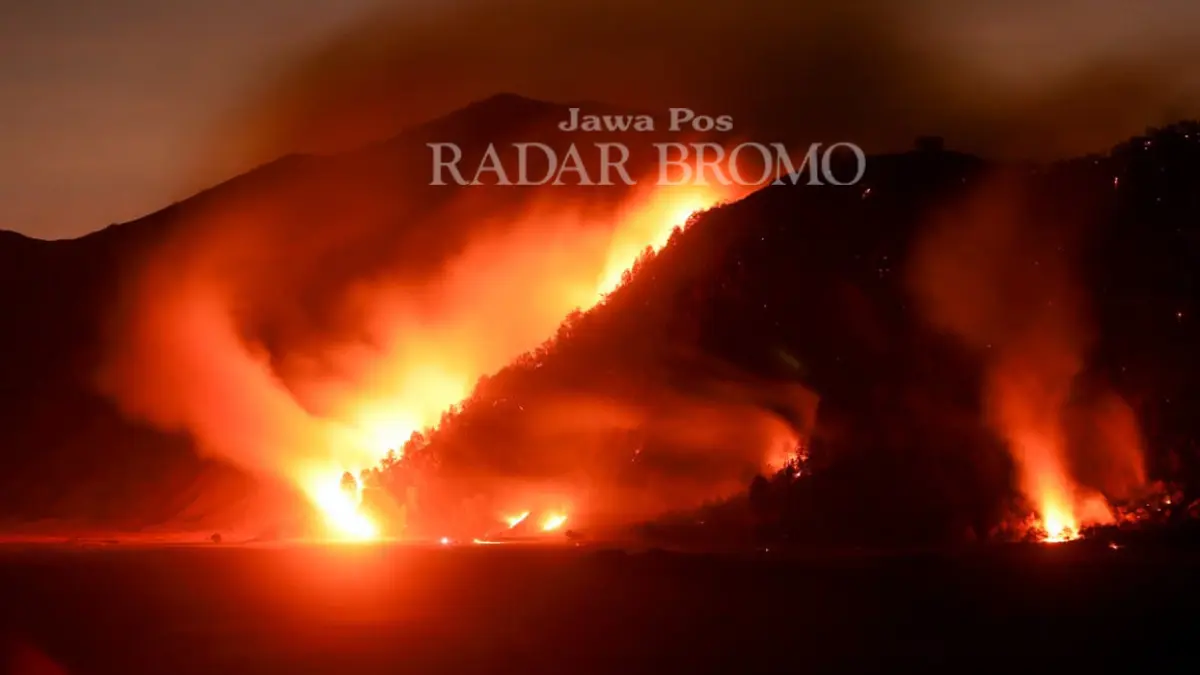 MEMBARA: Api berkobar di kawasan Bukit Dingklik dan Penanjakan Bromo di Desa Wonokitri, Kecamatan Tosari, Kabupaten Pasuruan, Minggu petang. (Mokhamad Zubaidillah/ Radar Bromo)