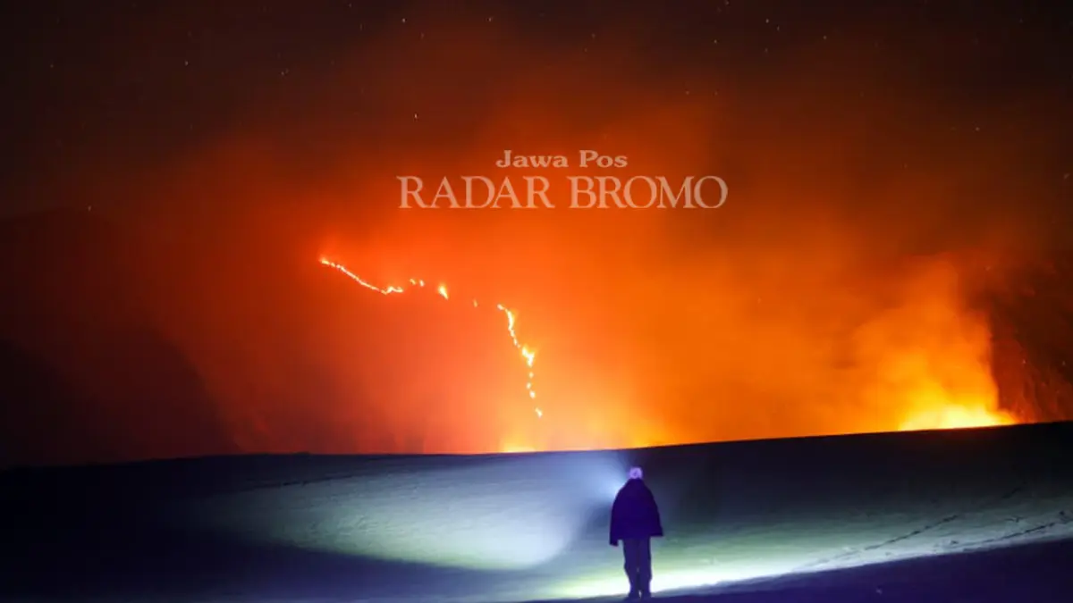 MEMBARA: Kobaran api saat melalap kawasan Sabana Bromo, Minggu dinihari (9/8). (Mokhamad Zubaidillah/ Radar Bromo)