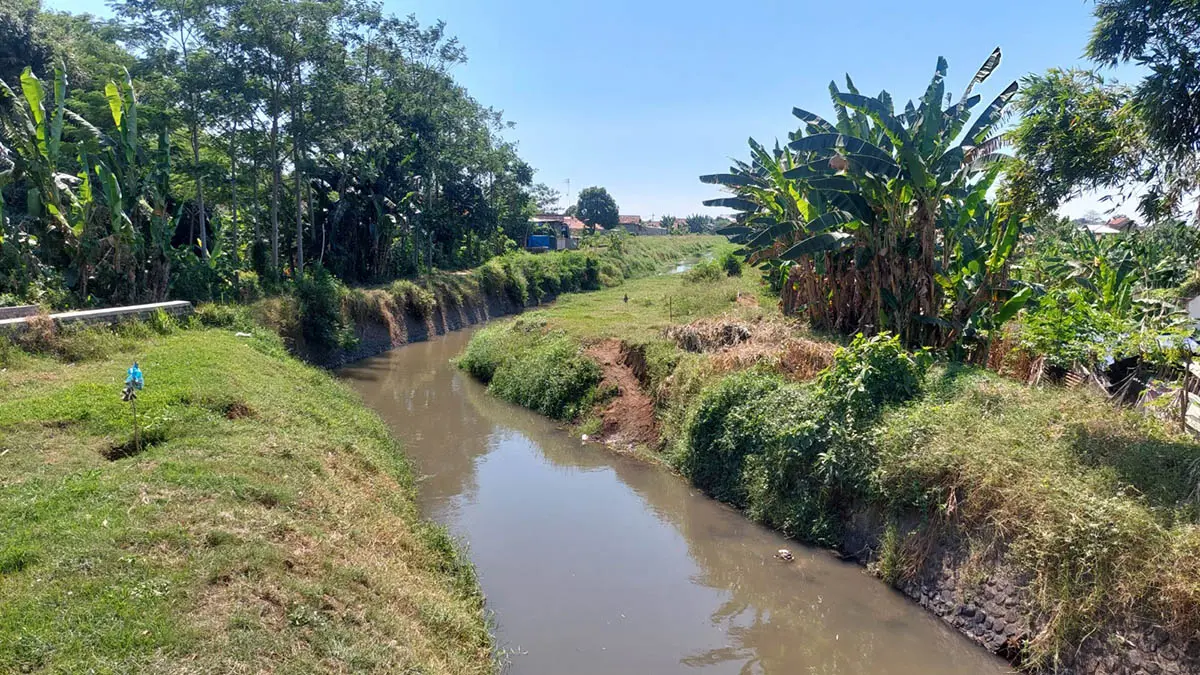 PERLU DIKERUK: Aliran Sungai Petung di Kota Pasuruan yang butuh pengerukan. Komisi III DPRD Kota Pasuruan memandang, pengerukan diperlukan, untuk mencegah luberan air ke pemukiman penduduk. (Fahrizal Firmani/Radar Bromo)