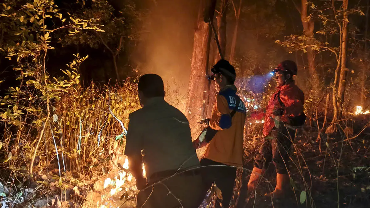 BERKOBAR: Petugas gabungan memadamkan api di lahan perhutani petak 23 c Gunung Geni, Desa Bulujaran Kidul, Kecamatan Tegalsiwalan beberapa waktu lalu. (Foto: dok Jawa Pos Radar Bromo)