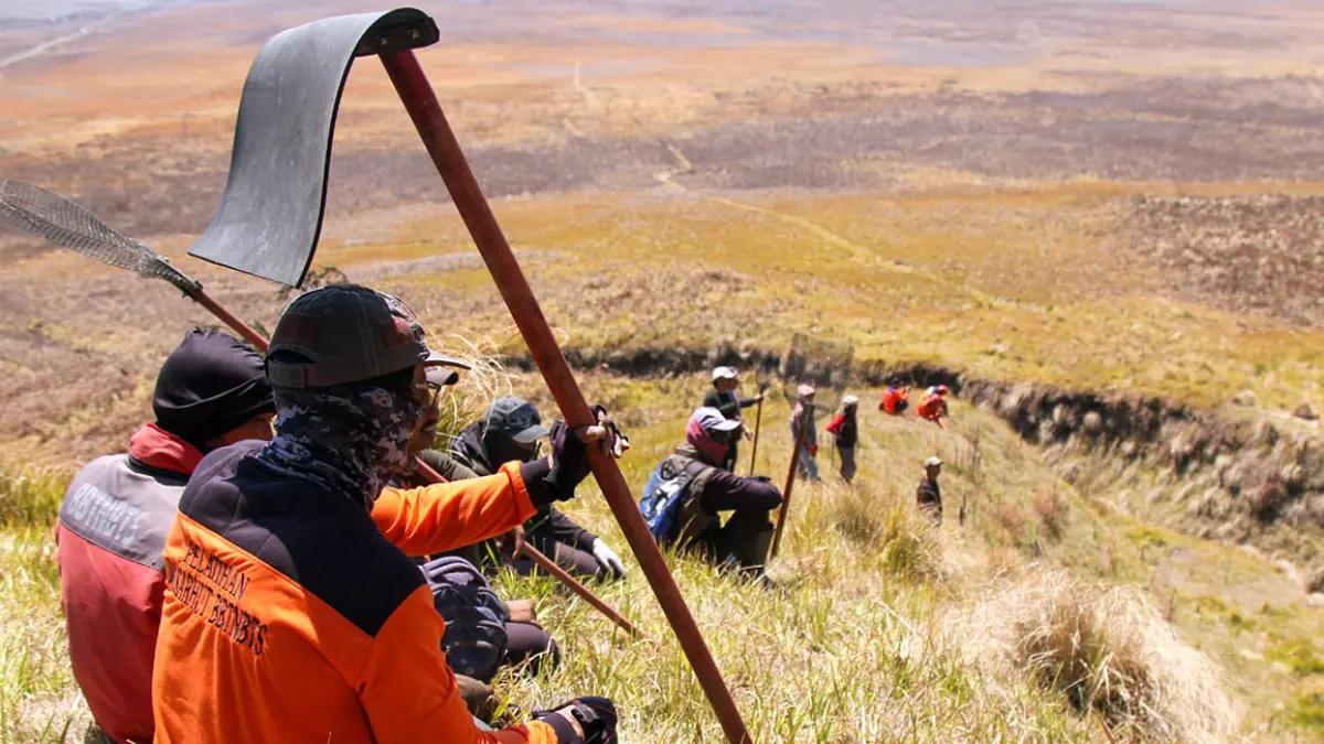 JALUR DARAT: Petugas dan relawan saat melakukan penyekatan api di kawasan Sabana Bromo. (Mokhamad Zubaidillah/ Radar Bromo)