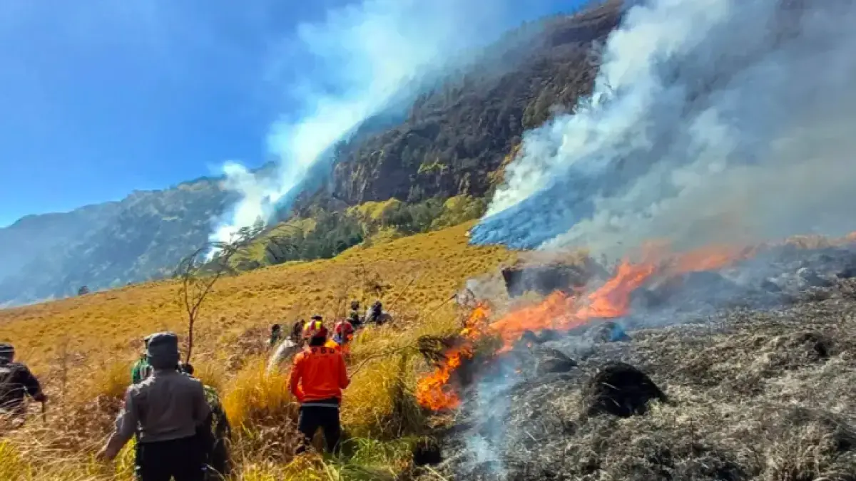 Petugas gabungan berjibaku memadamkan karhutla di kawasan Gunung Bromo, Kamis (6/8). (Dokumentasi BPBD Probolinggo)