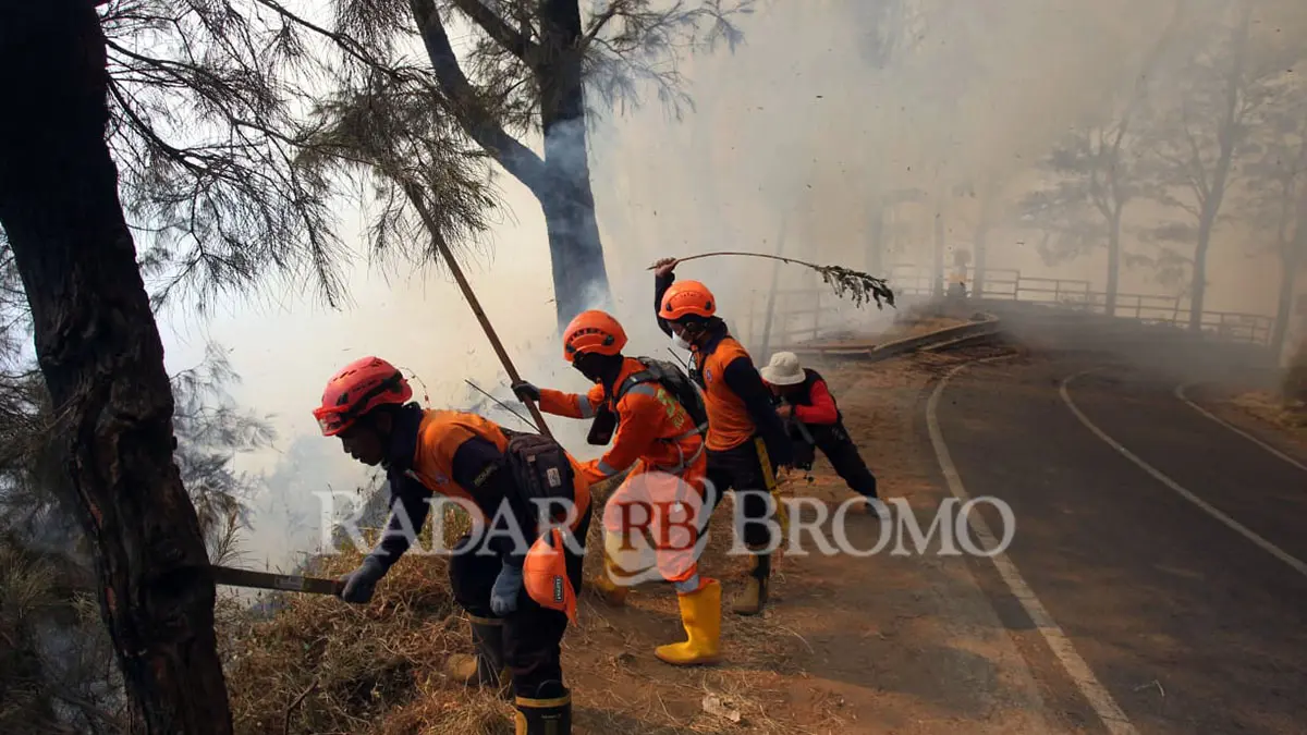 GEBYOK: Petugas dan relawan memadamkan api yang menjalar dengan cara digebyok, agar rembetan api tak menjalar. (Mokhamad Zubaidillah/ Radar Bromo)