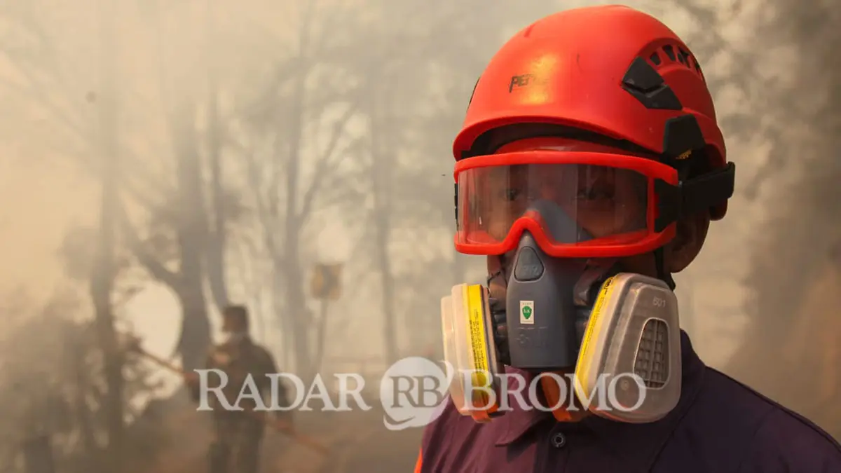 SAFETY: Salah satu petugas mengenakan masker pelindung saat bertugas memadamkan api karhutla Bromo di kawasan Tosari, Kabupaten Pasuruan, Selasa (11/8). (Mokhamad Zubaidillah/ Radar Bromo)