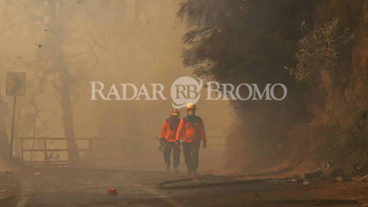 TERJANG PEKATNYA ASAP: Dua petugas menerjang asap pekat yang mengepul di tengah-tengah upaya pemadaman kawasan TNBTS di Tosari, Kabupaten Pasuruan. (Mokhamad Zubaidillah/ Radar Bromo)