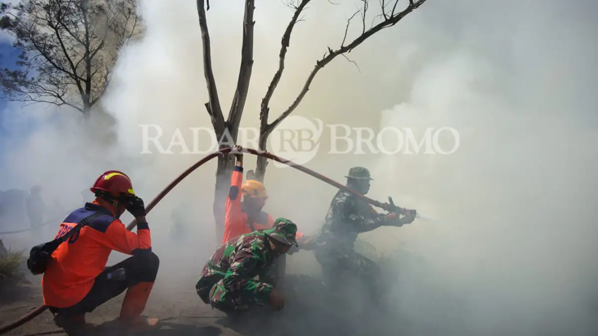 ASAP MENGEPUL: Petugas BPBD dan TNI saat berupaya memadamkan api di kawasan Bukit Cinta Bromo, Rabu (12/8). (Mokhamad Zubaidillah/ Radar Bromo)