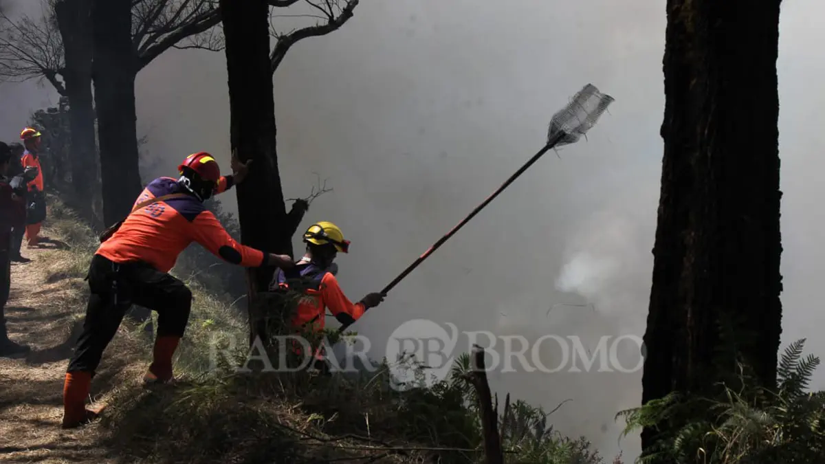 GEBYOK: Petugas memadamkan api di kawasan Wonokitri, Kecamatan Tosari, Kabupaten Pasuruan dengan cara digebyok. (Mokhamad Zubaidillah/ Radar Bromo)