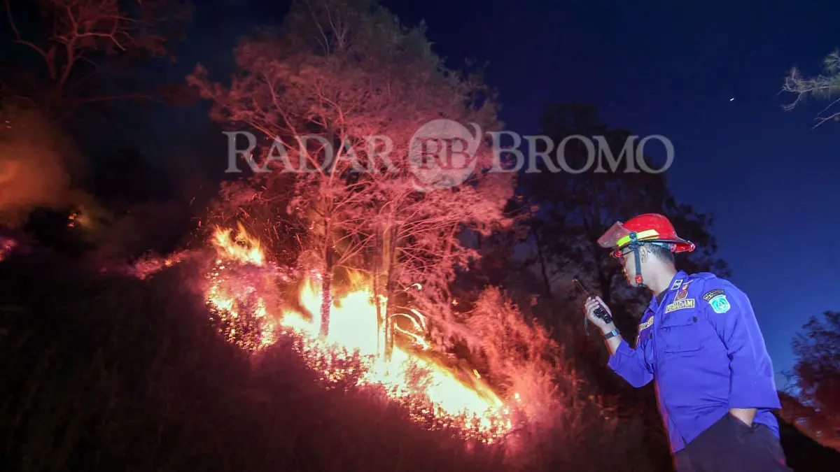 MASIH BERKOBAR: Petugas memantau api yang berkobar di kawasan TNBTS masuk Desa Wonokitri, Kecamatan Tosari, Kabupaten Pasuruan, Rabu malam (12/8). (Mokhamad Zubaidillah/ Radar Bromo)