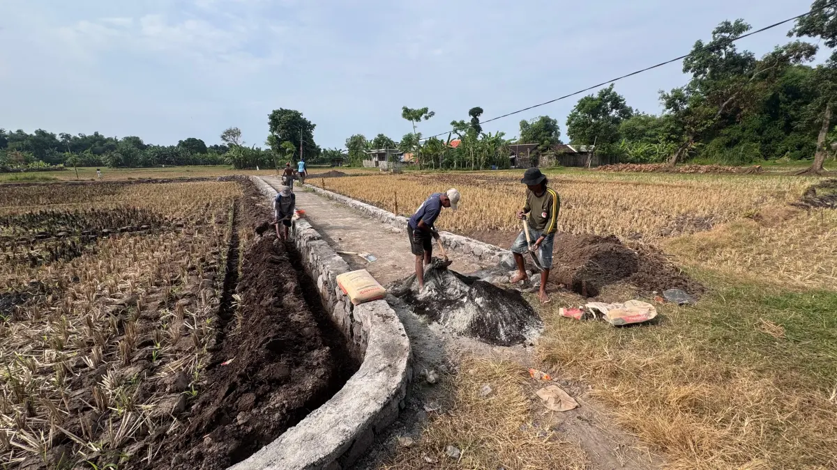 PERTANIAN: Pemerintah Desa Tambakrejo membangun TPT di jalan usaha tani di Dusun Prapatan, sebagai salah satu bentuk usaha peningkatan sektor pertanian. (PEMERINTAN DESA TAMBAKREJO FOR JAWA POS RADAR BROMO)