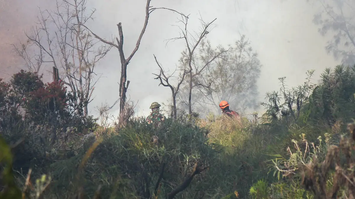 Petugas saat merayap melewati tebing terjal demi padamkan api di kawasan bukit cinta. (Mokhamad Zubaidillah/ Radar Bromo)