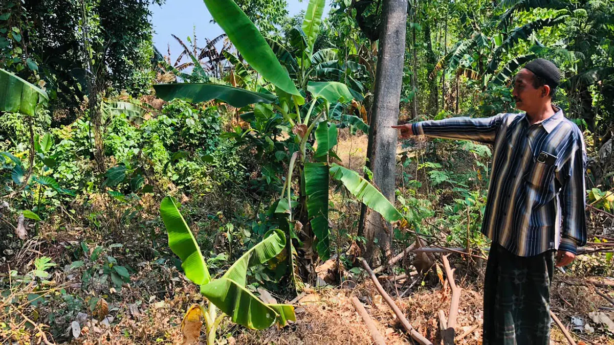 JEJAK SEJARAH: Lokasi rawa yang menjadi asal-muasal nama Desa Rawan di Kecamatan Krejengan. Kondisi genangan air rawa purba ini sekarang sudah sangat dangkal dan tertutup semak-semak. (Agus Faiz Musleh/Radar Bromo)