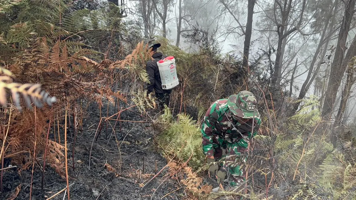PADAKAM API: Anggota TNI Korem 083/Bdj berupaya memadamkan api di Pusung Lingker, Desa Ngadirejo, Kecamatan Sukapura, Kabupaten Probolinggo, Senin (17/8) pagi. 