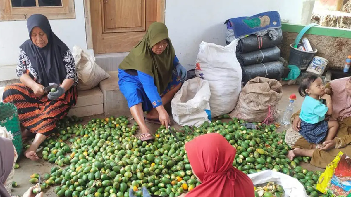 HARUS NAIK KELAS: Usaha produksi pinang olahan di Desa Prasi, Kecamatan Gading. DKUPP Kabupaten Probolinggo mencatat saat ini ada 87 ribu UMKM. (Foto: Agus Faiz Musleh/Jawa Pos Radar Bromo)