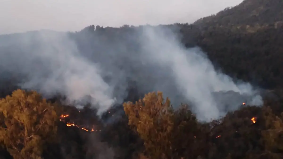 MEMBARA: Titik api dan kepulan asap terpantau di atas pondokan, lereng Gunung Welirang, pada Rabu (19/8) sore. Lokasi ini ada di wilayah Kelurahan Pecalukan, Kecamatan Prigen. (Foto: Istimewa)
