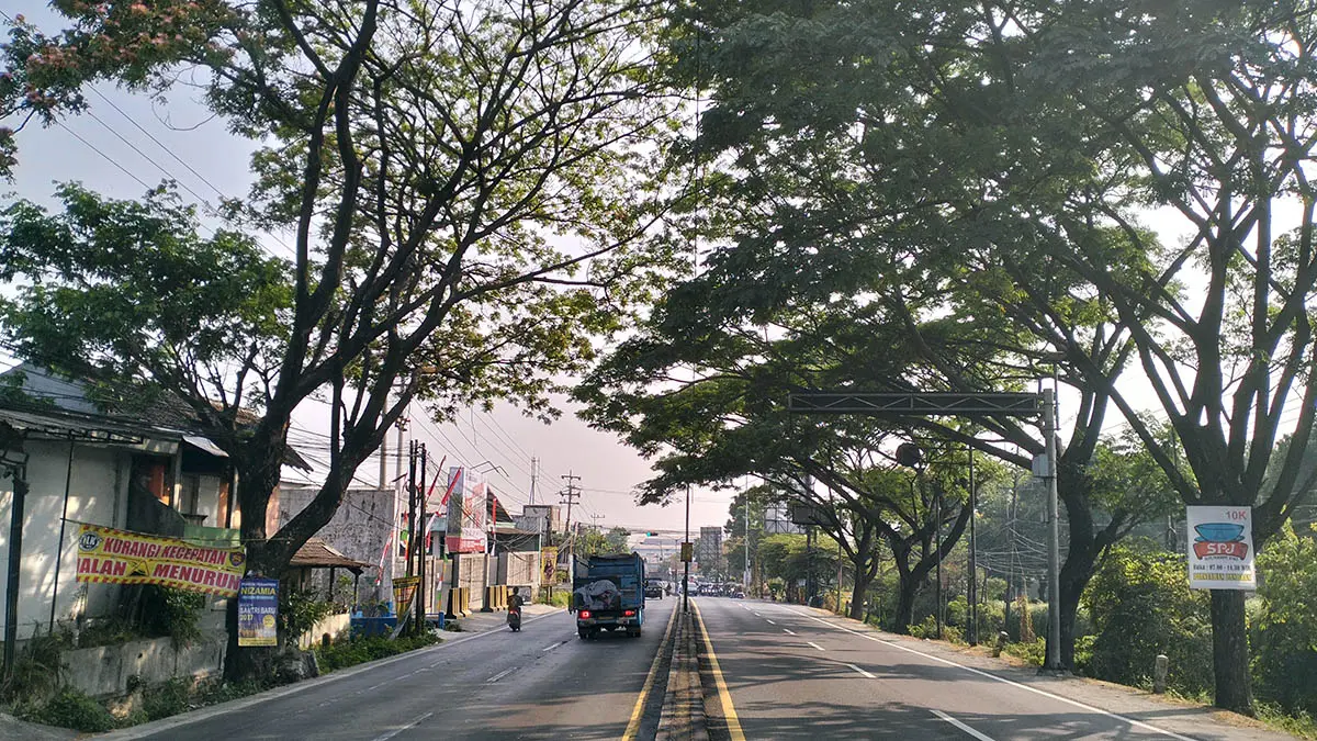TEDUH: Sejumlah ranting pohon yang menjulang ke jalan, rencananya akan dikepras demi keselamatan pengguna jalan. Namun eksekusinya masih tertunda karena menunggu surat rekomendasi resmi dari BBPJN Jatim-Bali. (Rizal Syatori/Radar Bromo)
