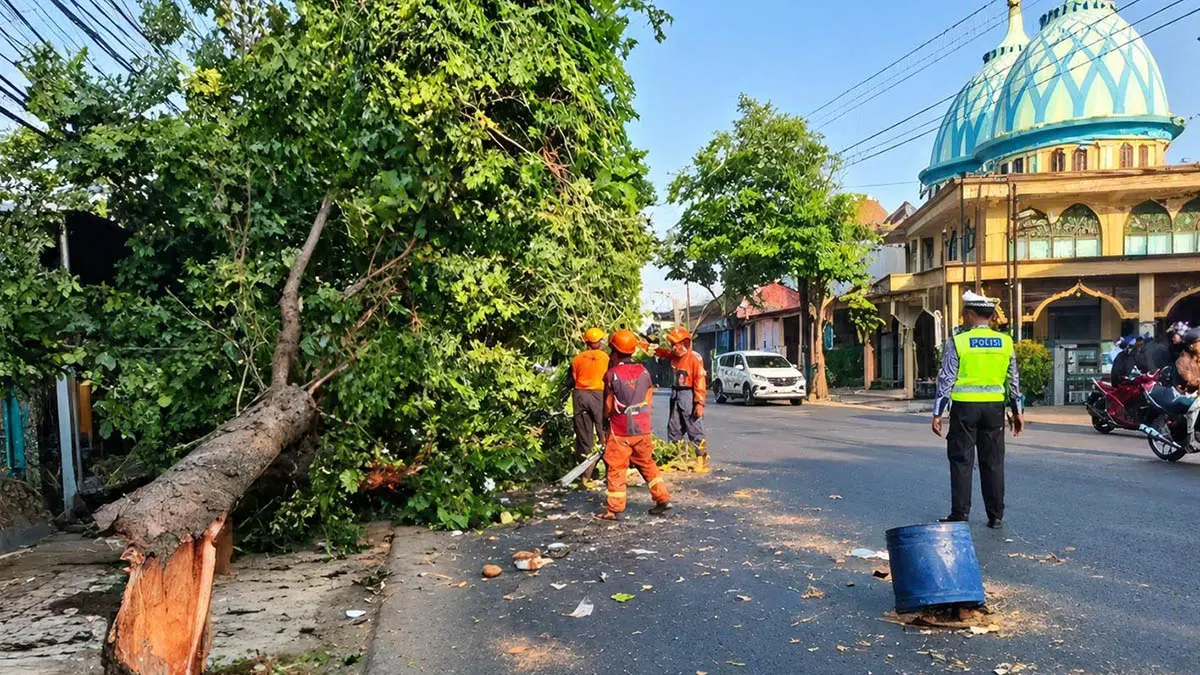 DAMPAK PERUBAHAN CUACA:&nbsp;Personel BPBD mengevakuasi pohon tumbang di Jalan RA Kartini. Adanya perubagan cuaca perlu diwaspadai meskipun saat ini musim kemarau. (Foto: BPBD for Jawa Pos Radar Bromo)