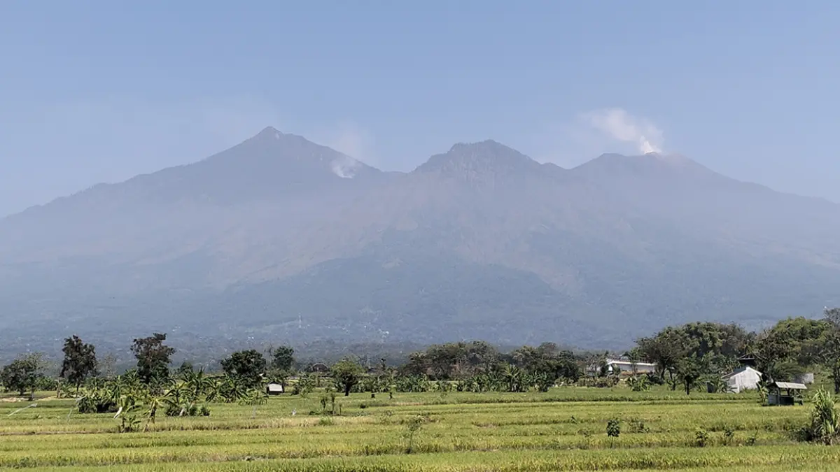 Kepulan asap terpantau di lereng Gunung Arjuno-Welirang, kawasan Tahura R Soerjo saat dipotret dari kawasan Pulokerto, Sukorejo, Kabupaten Pasuruan, Minggu (23/8). (Rizal Syatori/ Radar Bromo)