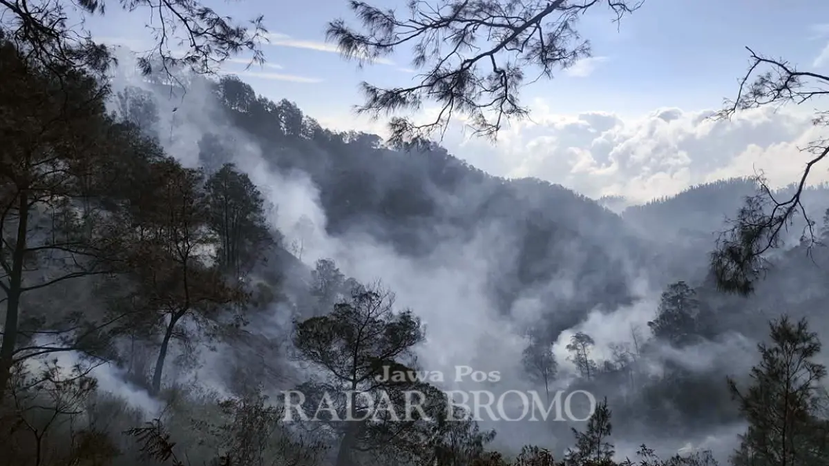 ASAP MENGEPUL: Meski api disebut sudah padam, kepulan asap masih terpantau dari jurang di kawasan Penanjakan Bromo, Tosari, Kabupaten Pasuruan, Jumat sore (28/8). (Mokhamad Zubaidillah/ Radar Bromo)