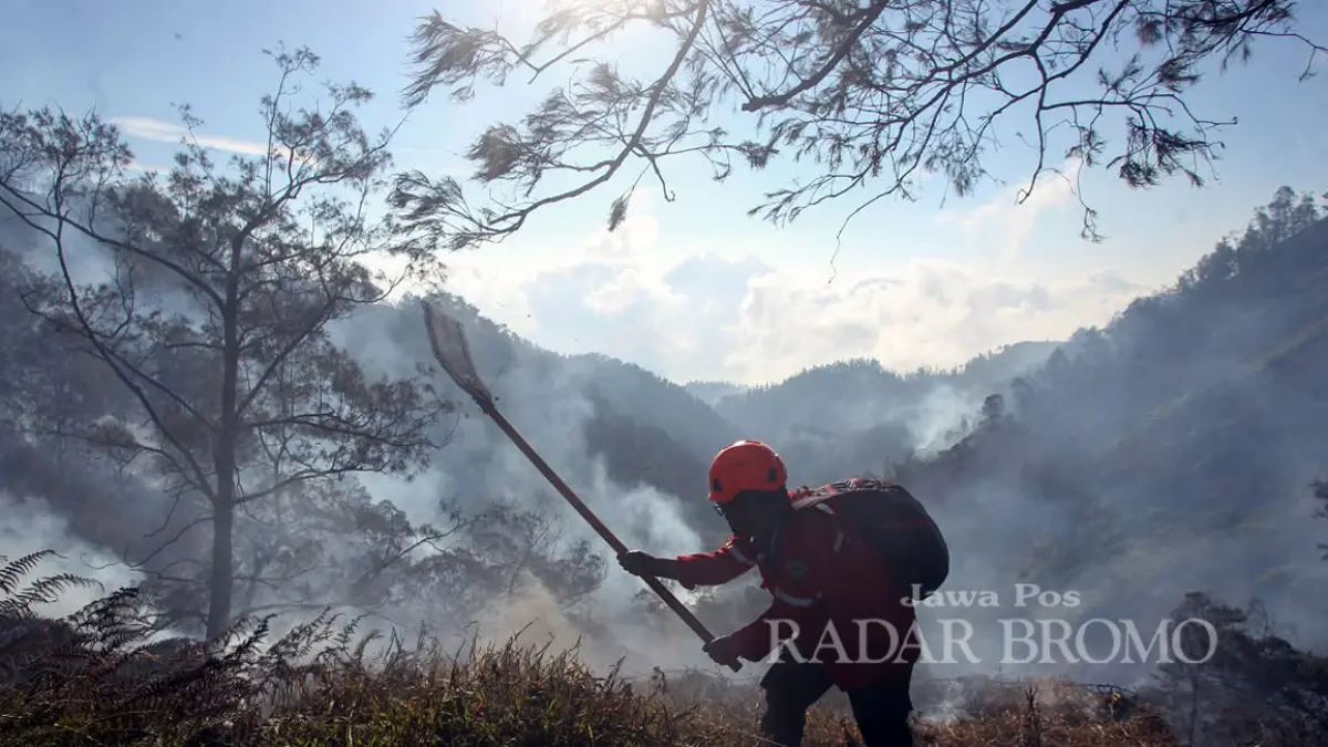 Petugas berupaya memadamkan api yang melalap vegetasi kering di kawasan Penanjakan Bromo dengan gebyok, Jumat siang (28/8). (Mokhamad Zubaidillah/ Radar Bromo)