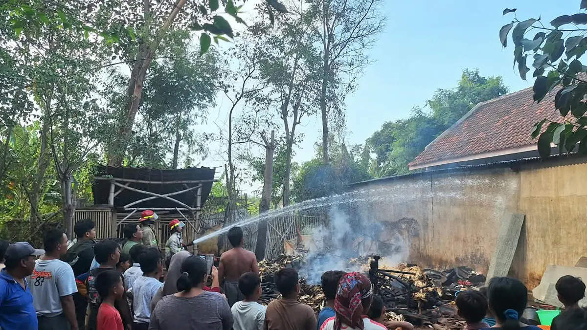 PADAM: Tim Damkar Satpol PP Kota Probolinggo memadamkan api di kandang ternak milik Asin, 36, warga Kelurahan Pohsangit Kidul, Kecamatan Kademangan, Jumat (28/8) sore. (DAMKAR SATPOL PP KOTA PROBOLINGGO FOR JAWA POS RADAR BROMO)