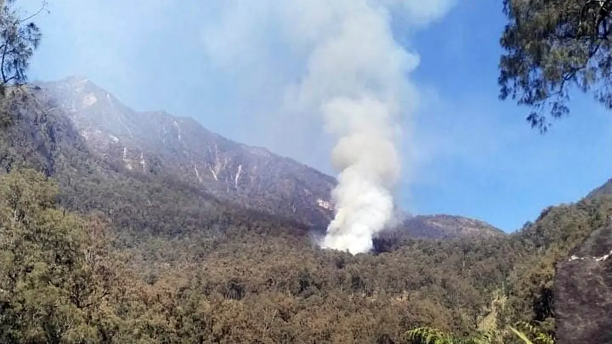 KEPULAN ASAP: Asap tebal membubung tinggi dari lereng Gunung Arjuno, tepatnya di Blok Lembah Kuning, Kecamatan Prigen, Kabupaten Pasuruan. (Istimewa)