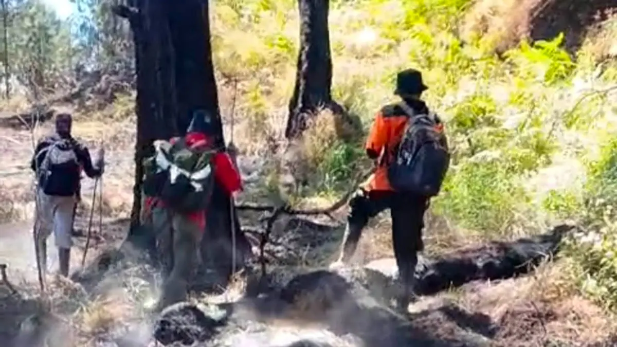 PENYISIRAN: Petugas dari Polisi Hutan (Polhut) bersama relawan dari Masyarakat Peduli Api (MPA) saat melakukan penyisiran di Kawasan Gunung Arjuno. (Istimewa)