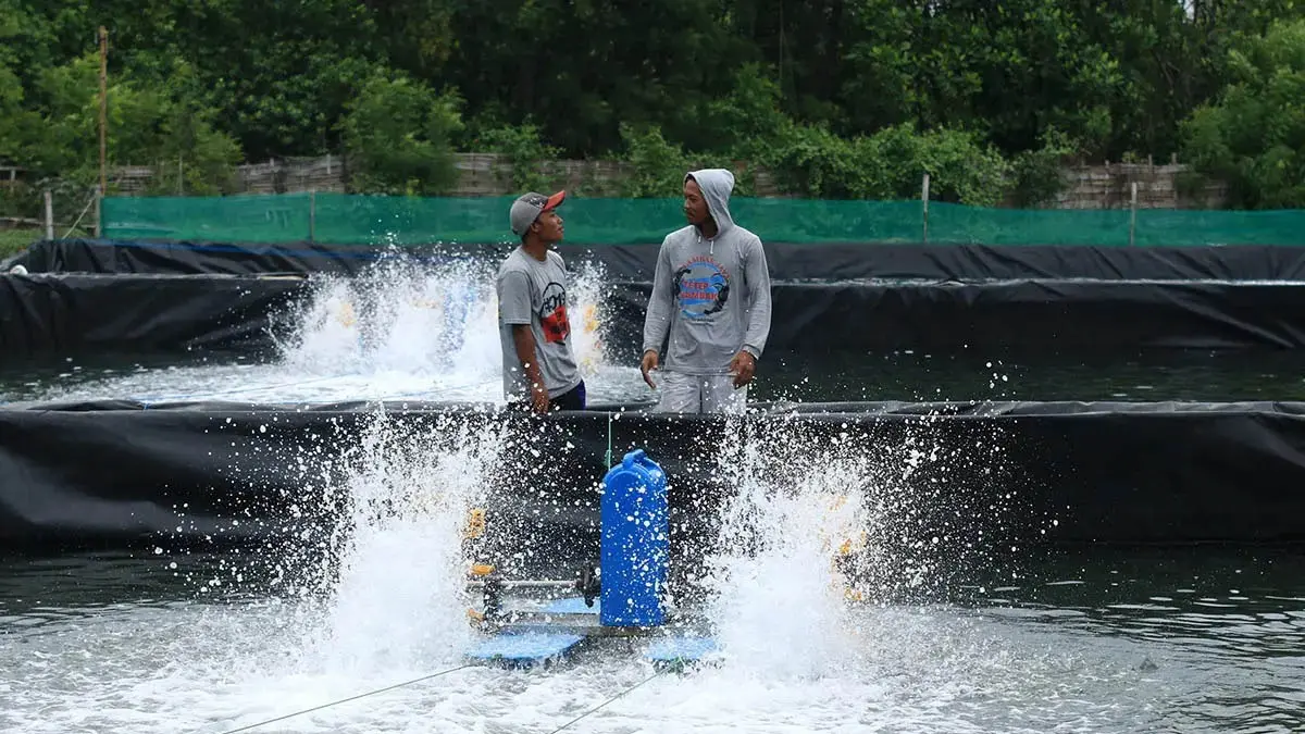 BUDI DAYA: Seorang petambak Kota Pasuruan yang tengah merawat kolam miliknya. Sepanjang semester pertama tahun ini, produksi ikan budi daya di Kota Pasuruan masih minim. (Dokumen Radar Bromo)