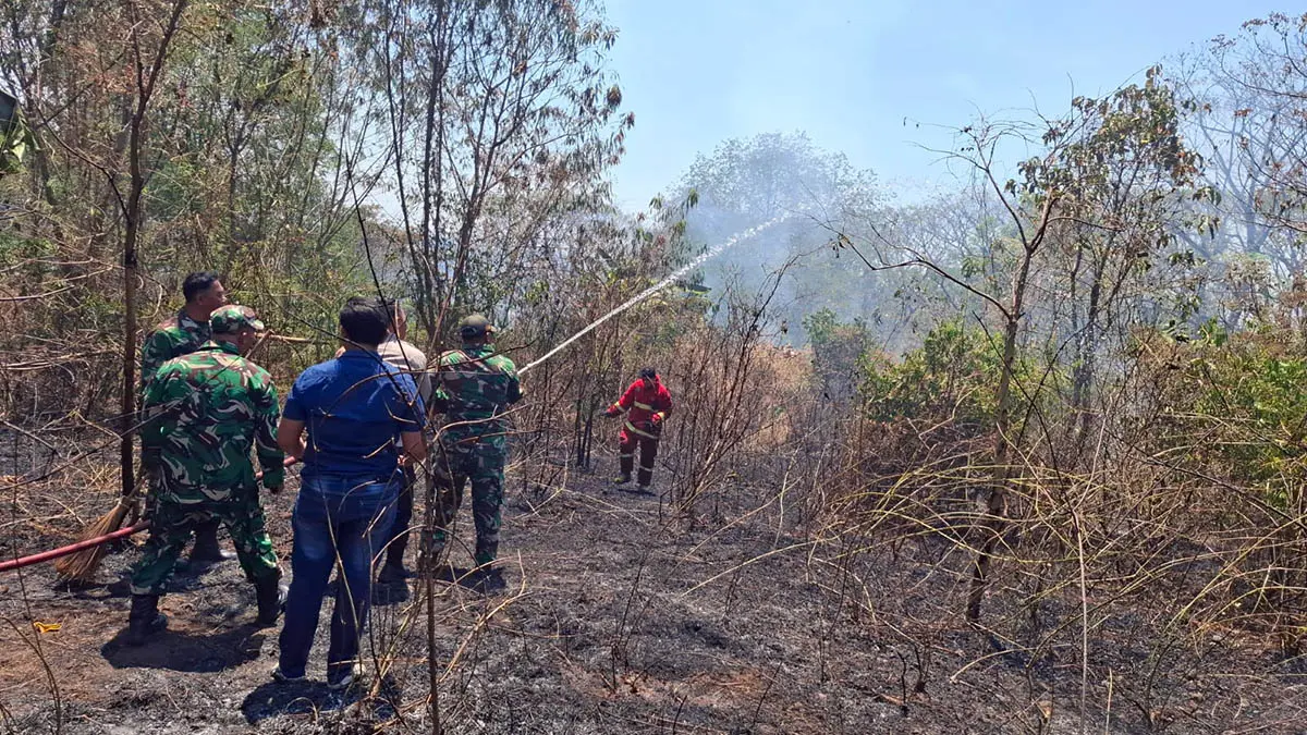 PADAMKAN: Petugas gabungan saat berusaha untuk memadamkan api yang membakar hutan kawasan Gunung Prau di wilayah Carat, Kecamatan Gempol, Kabupaten Pasuruan. (Istimewa)