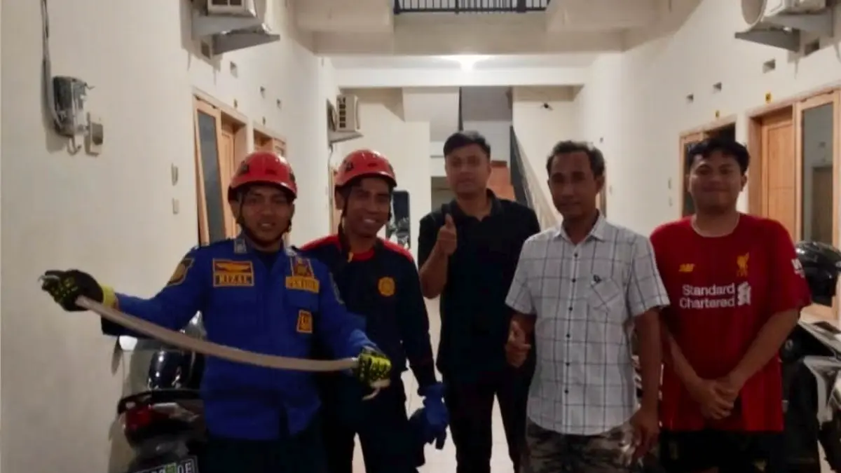 PANJANG: Petugas Damkar Kabupaten Probolinggo melakukan rescue ular kobra dari rumah warga Dusun Krajan, Desa Bulu, Kecamatan Kraksaan. (DAMKAR FOR JAWA POS RADAR BROMO)