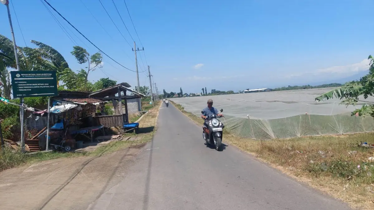 TERLALU SEMPIT: Pengendara motor melintas di jalan yang akan dilebarkan sebelum menjadi akses menuju Sekolah Rakyat di Kelurahan Kedungasem, Kecamatan Wonoasih. &nbsp;(ARIF MASHUDI/JAWA POS RADAR BROMO)