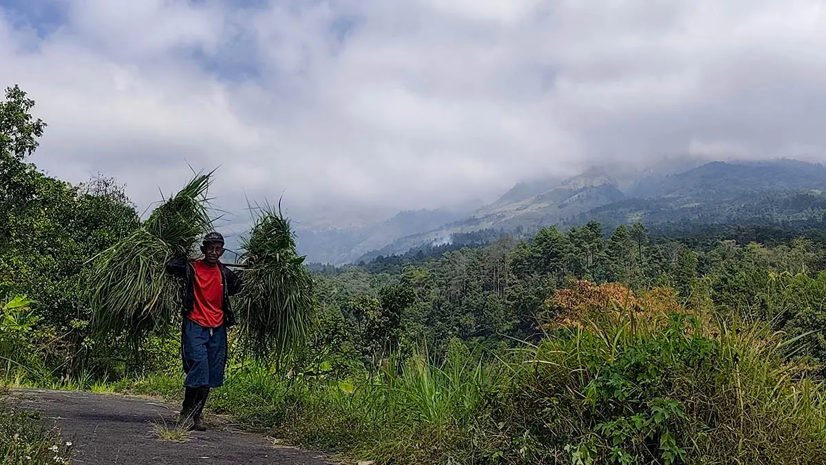 BERSIAP DIBUKA: Warga beraktivitas mencari rumput di kaki Gunung Arjuno, Prigen, Pasuruan. (Mokhamad Zubaidillah/Radar Bromo)