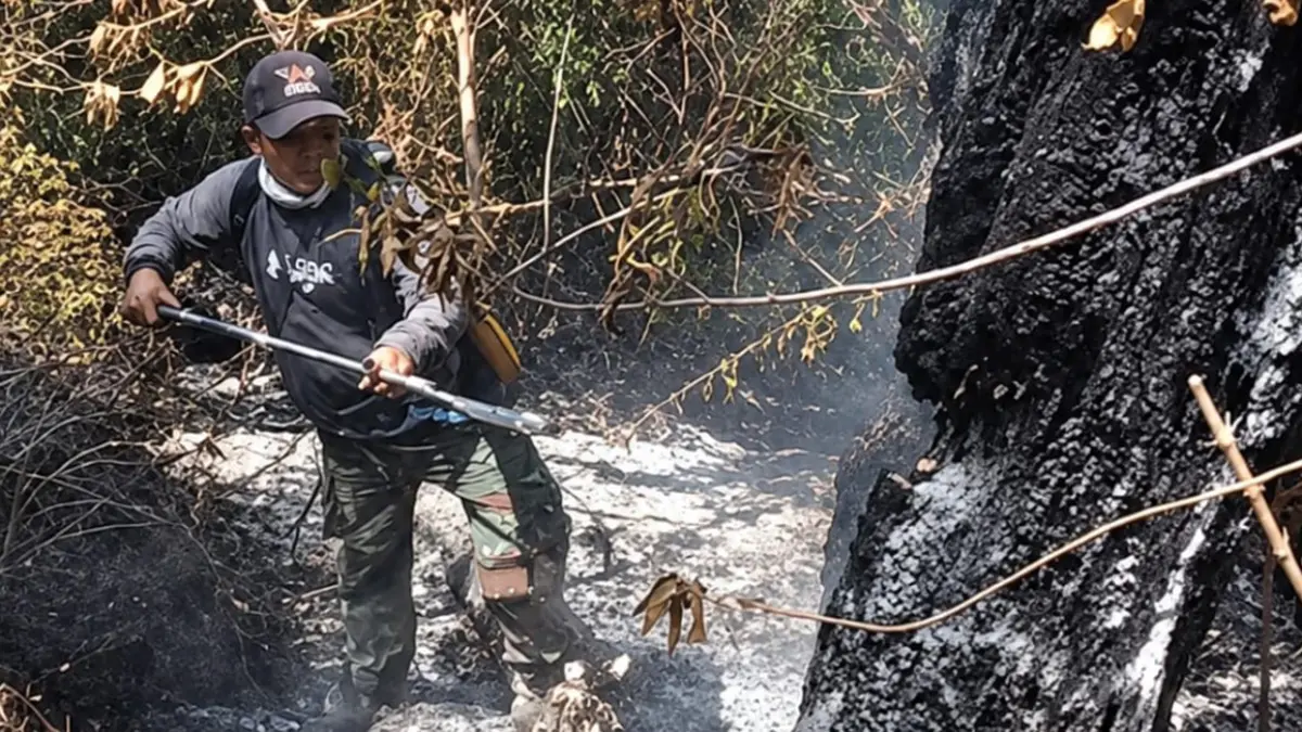 SEMPROT: Petugas BB KSDA dan personel gabungan melakukan pemadaman di kawasan Suaka Margasatwa Dataran Tinggi Hyang di Bremi, Kecamatan Krucil, Kabupaten Probolinggo, Selasa (9/9).