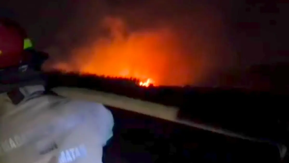 TERBAKAR: Tim Damkar Kabupaten Probolinggo memadamkan api yang melalap lahan tebu di Blok Wedian, Desa Curahsawo, Kecamatan Gending. (DAMKAR FOR JAWA POS RADAR BROMO)