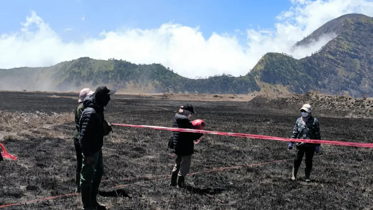 MONITORING: Tim BB TNBTS memantau vegetasi di Kawasan Savana Taman Nasional Bromo Tengger Semeru, Rabu (9/9). (BB TNBTS FOR JAWA POS RADAR BROMO)