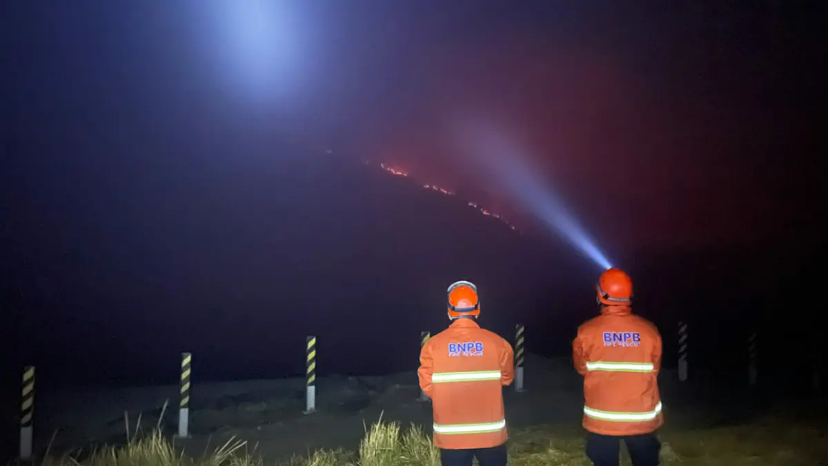 PEMADAMAN: Petugas BPBD Kabupaten Probolinggo memantau kebakaran Bromo di Bukit Teletubies, masuk kawasan TNBTS, Kabupaten Probolinggo, Jumat (11/9).