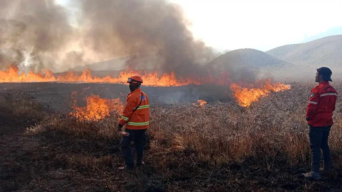 TERBAKAR: Sejumlah petugas BPBD Kabupaten Probolinggo memadamkan api Lembah Watangan, Kawasan TNBTS, Kabupaten Probolinggo, Sabtu (12/9) siang.